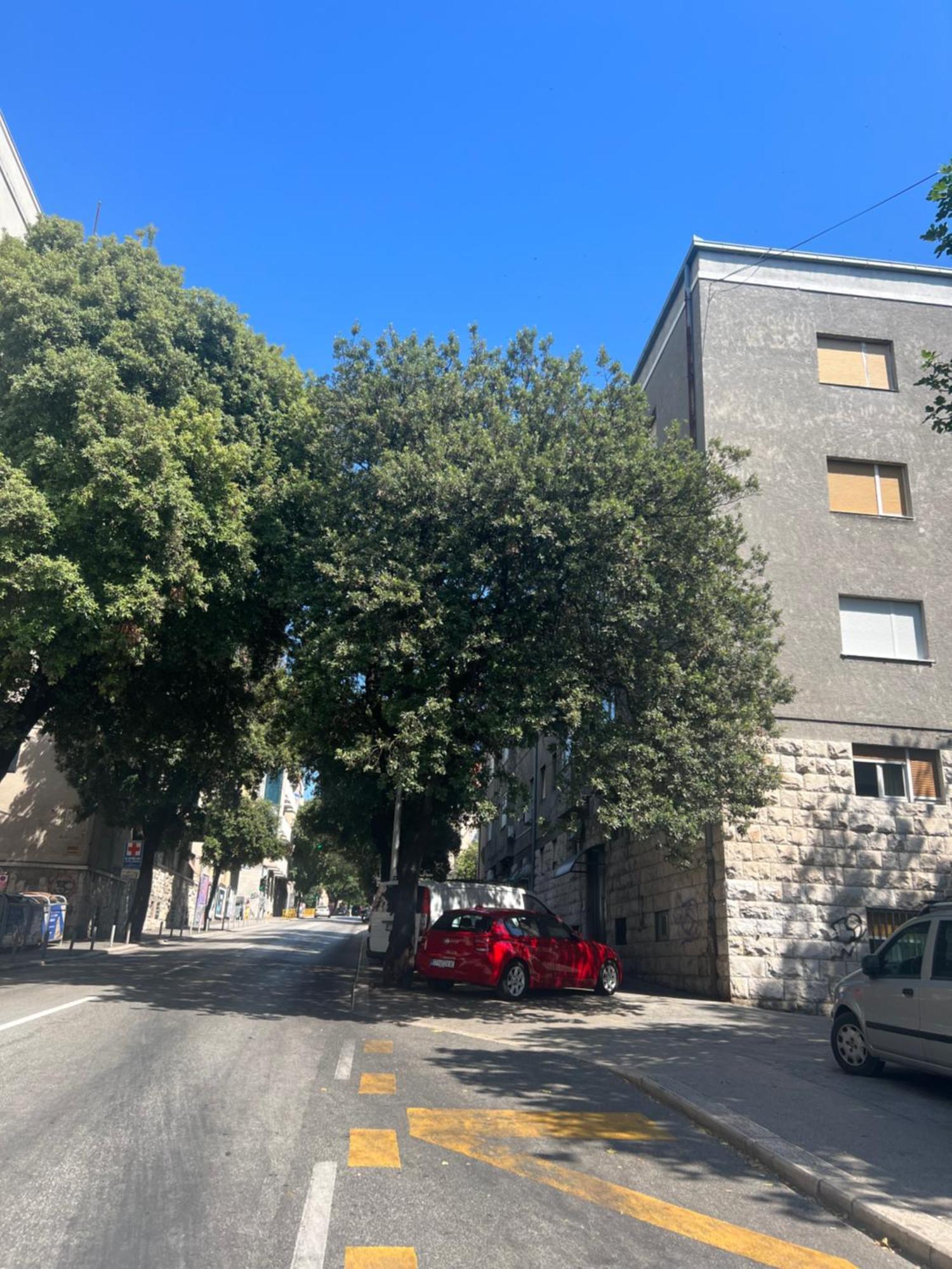 Apartment Anachi Сплит Екстериор снимка