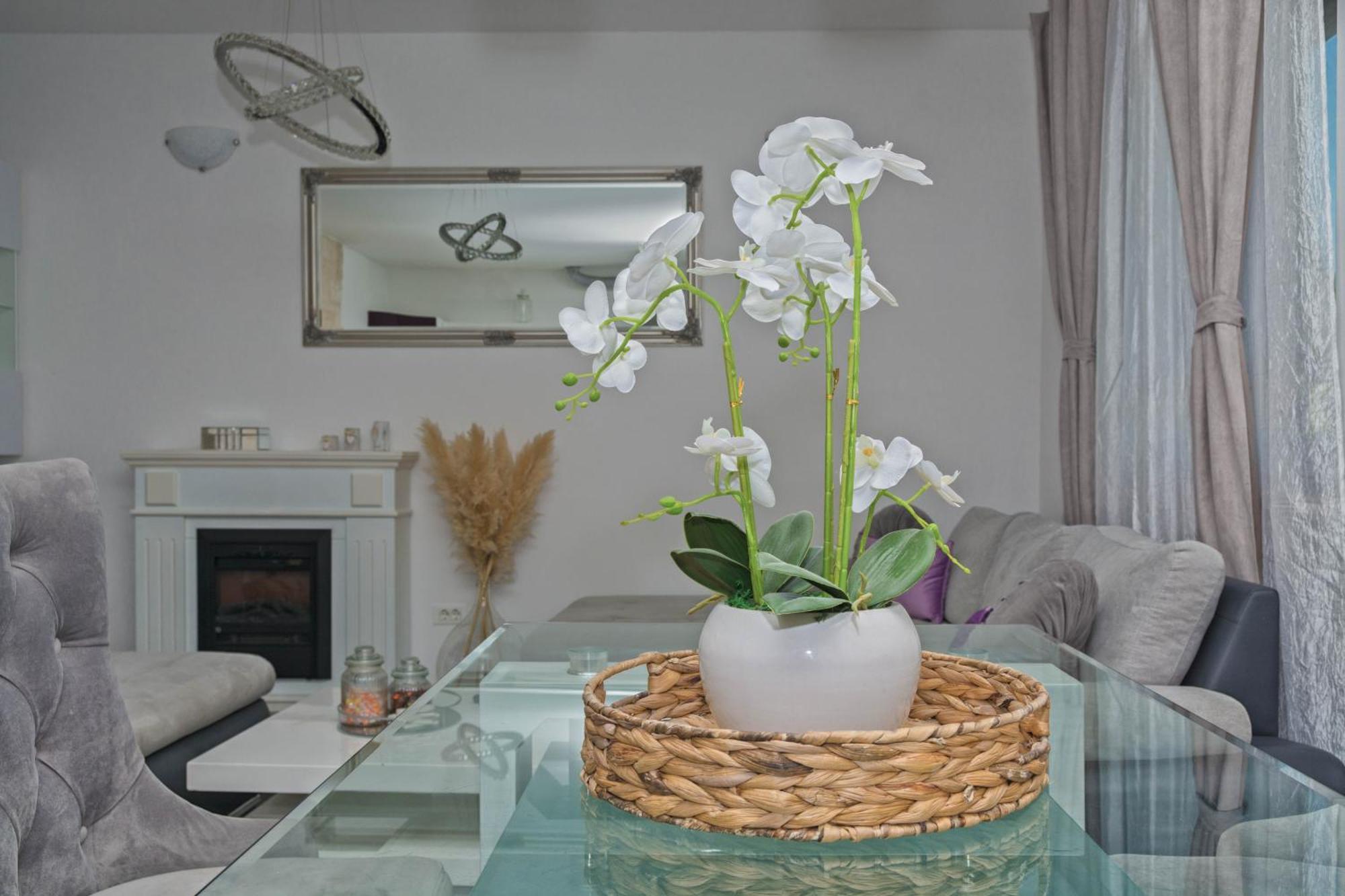 Apartment Anachi Сплит Екстериор снимка